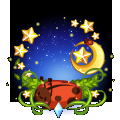 星夜之夏