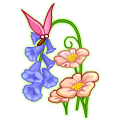 梦幻豌豆花束